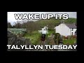 TALYLLYN TUESDAY