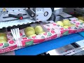 Satisfying Modern Food Technology Mass Processing Line in Factory