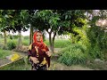 Gaon Ki Khubsurat Jindagi 🥰 Village Life || Village Lifestyle || Ayesha Village 786