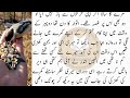 Dewar ki Asliyat Very Heart Touching Story 2024 Sachi kahaniyan Urdu Kahaniyan Urdu Story 596