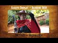 Blizzcon 2019 Costume Contest 50% Progress - Mcree - Overwatch