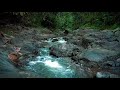 Mountain Stream Relaxing Ambience Meditation 🌾Healing Sounds Water Therapy