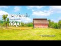 รวมเพลง วง คีรีบูน [Official Music Long Play]