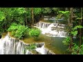  eautiful waterfall in the jungle Thailand 10hours White noise for sleeping