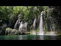 Waterfall Sounds with Birds Chirping in the Forest, Nature Sounds to Fall Asleep and Relax