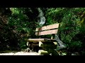 Entspannung - Wasserfall, Naturgeräusche