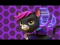 Cat Pack Stops a Giant Ball of Yarn 🧶 + More Cartoons for Kids | PAW Patrol