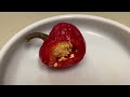 QUICK REVIEW: DeLallo Red Hot Cherry Peppers