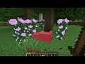 Bringing it back! 🌸 | Minecraft 1.21 Blossom Hollow | Ep. 1