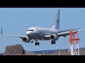 RAAF 737 BBJ Landing at Wellington 16/04/2024 #avation #wellington #airport #rare   001