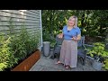 Cozy Patio Makeover. Creating a Garden Room & DIY Solar Fountain