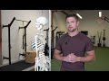 SUPER SIMPLE & Effective Fix For Rounded Shoulders & Forward Head Posture