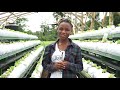 NEW YOUNG FARMERS IN TOWN|GREEN SUSTAINABLE REVOLUTION