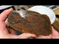 Seeing INSIDE an Ancient Fossil | Cutting Mary Ellen Jasper (Stromatolite)