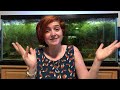 The Basics of Walstad Method Aquariums - Easy Aquarium Keeping