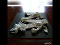 Top 10 origami dragons of all time