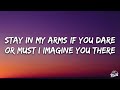 Whitney Houston - I Have Nothing (Lyrics)