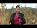 Eastern Cape celebrates milestone in hemp industry
