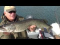 Bestes Fischen auf Aland, Best fishing of Aland, Pikes, ...