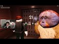 Los monos jugando Doors & Rooms | Farfadox | Roblox