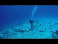 POV Diving - Cozumel - Mexico