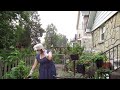 Tiny Garden/Slow Living/1940s Dream/Birdsong/Light Traffic/Watering Pots