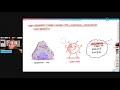 COVID Long Haulers Mast Cells (Mast Cell Activation Syndrome - MCAS) Part - 2