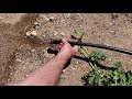 Installing Drip Irrigation in Vegetable Garden | A Beginners Guide to Drip Irrigation
