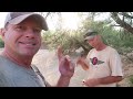 Prospecting For Gold Nuggets With Metal Detectors In Arizona`s Sonoran Desert . Lots of Gold Found !
