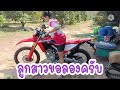 Honda crf 300 l /รีวิว crf 300 l