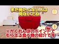 【神アプデ】ひみつのおるすばんアプデきたー！【食べ物の取り方】