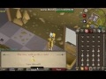 Aziz - 99 #11 Herblore