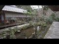 京都 苔寺と侘び寂びの庭園25選｜25 Moss and Wabi -Sabi Gardens in Kyoto