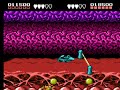 [TAS] NES Battletoads 