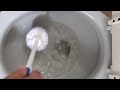 keep a 68-year-old toilet sparkling clean