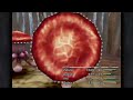 [Percy] Final Fantasy IX (PART Ten) [Full Playthrough]