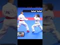 Amazing Rafael Aghayev karate combat #karate #combat #wkf #shorts #karatedo #martialarts