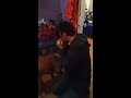 Dog goes crazy over harmonica