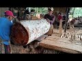 Menggergaji kayu durian super
