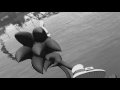 🌟 Sonic Vs Shadow | The Epic Battle