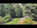 View of backyard from screen porch