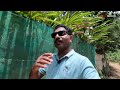 Anayirangal Dam / Family Trip / Sunoj Kurian / Malayalam Vlog #malayalam #DreamDestinations #munnar