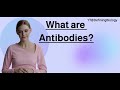 What Is Are AntiBodies?| Biology Definition