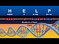 Why DNA Will BLOW Your Mind | Ken Ham