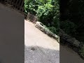 Lake Michigan observation deck at Washington Park Zoo in Michigan City Indiana.