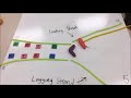 DNA Replication