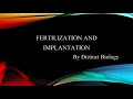 How does Fertilization happen | How does Implantation happen | IN HINDI