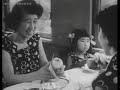 つばめを動かすひとたち 　日映科学映画製作所１９５４年製作