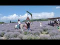 А ВОТ И МОЙ СЮРПРИЗ! РАСКРЫВАЮ СЕКРЕТ! ПОЛЯ ЛАВАНДЫ/LAVENDER FIELDS IN AZERBAIJAN. EXCELLENT VIEW!