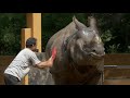 A Day at Mysuru Zoo - official documentary (HD)